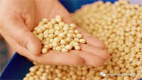 Congratulations on the Peas Processing Plant Delivery